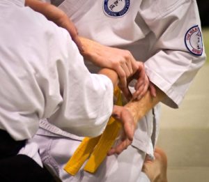 About NIA Aikido